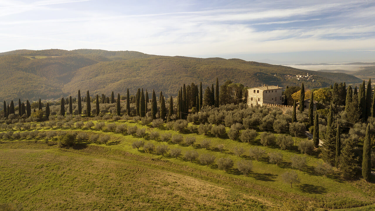 oleoturismo in italia - Life&People Magazine