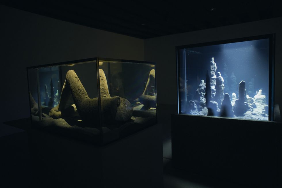 mostre venezia biennale 2024 | Life&People Magazine