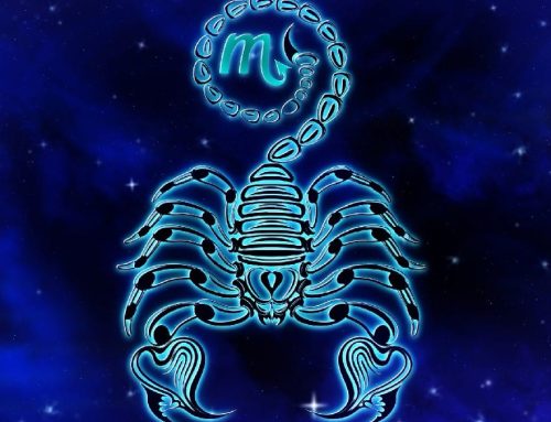 Scorpione e l’arte dell’invisibilità: il vero potere oggi è ciò che scegliamo di non mostrare