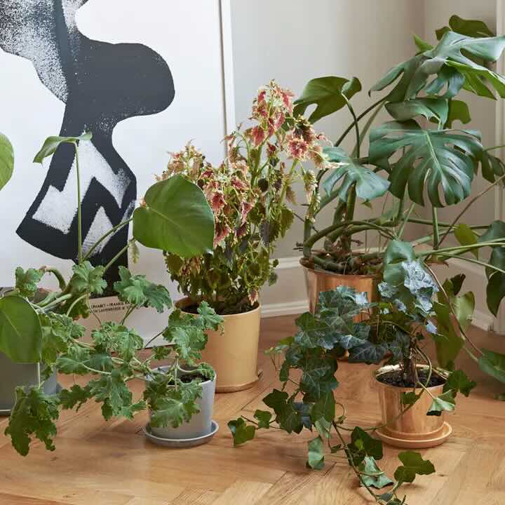 Composizione di vasi di HAY - Life&People Magazine