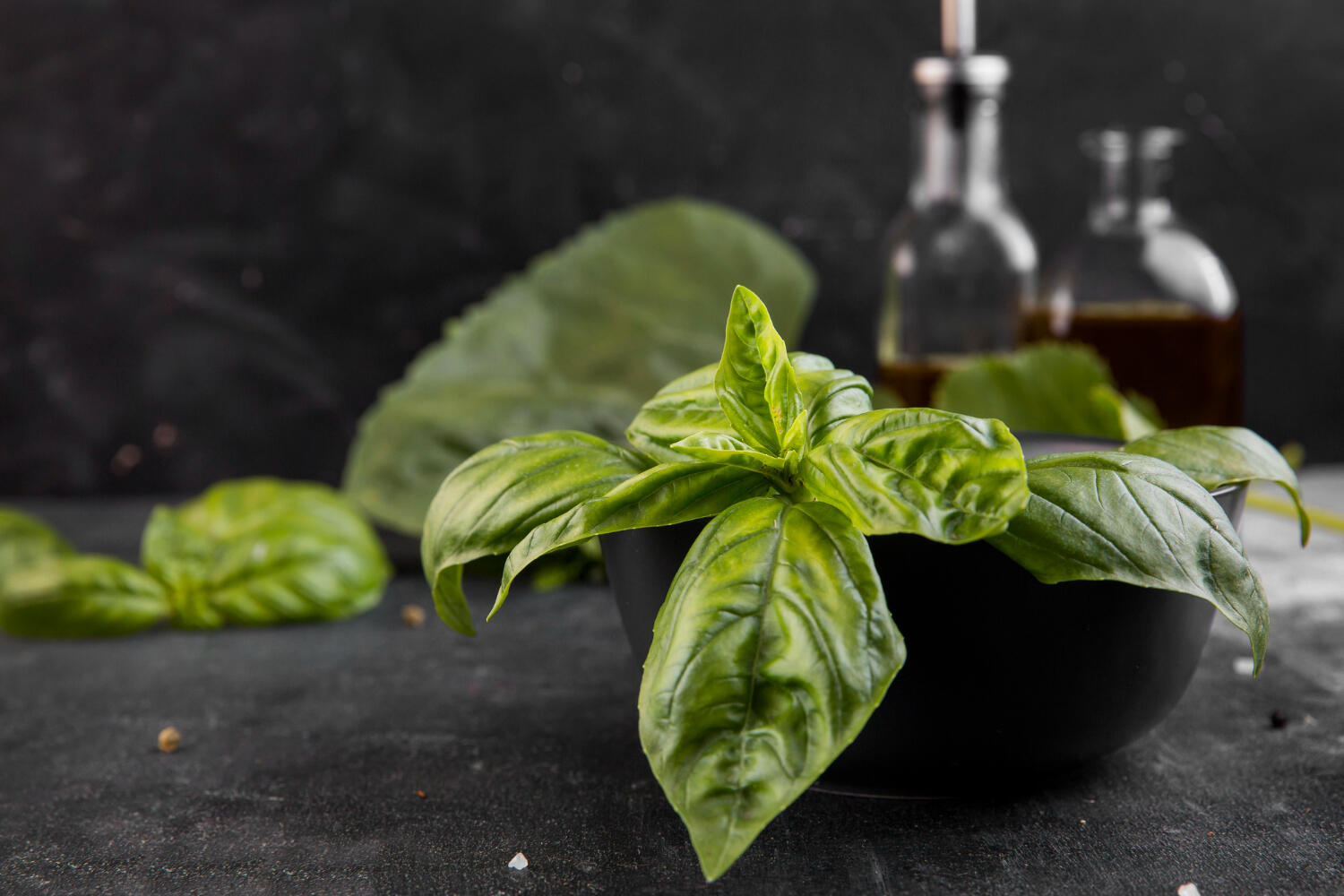  basilico - Life&People Magazine