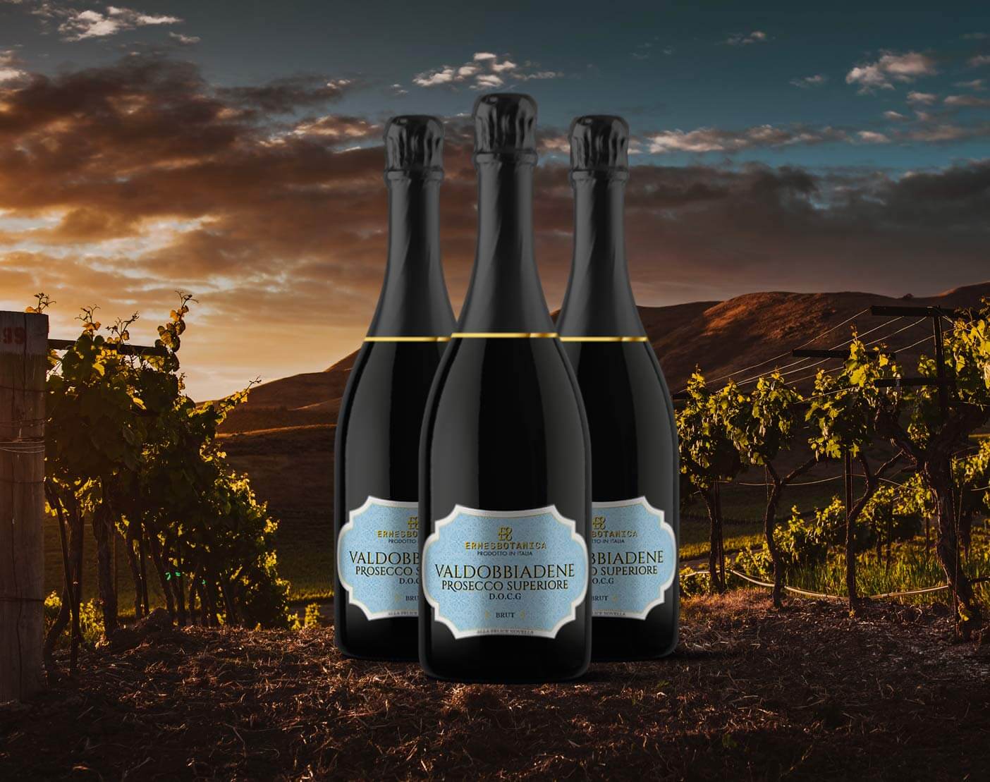 storia vino valdobbiadene DOCG - Life&People Magazine