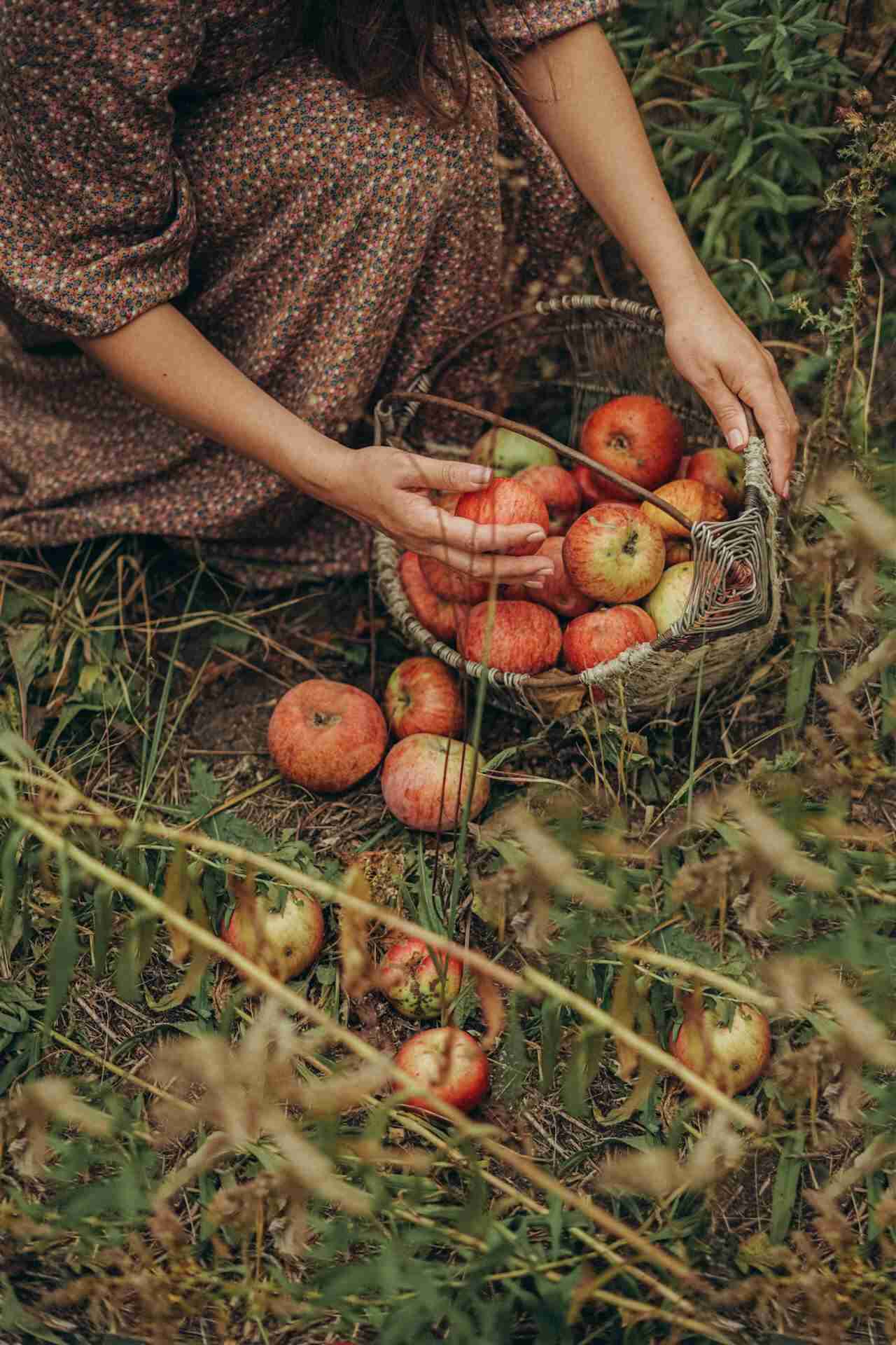 Benefici della frutta mele - Life&People Magazine