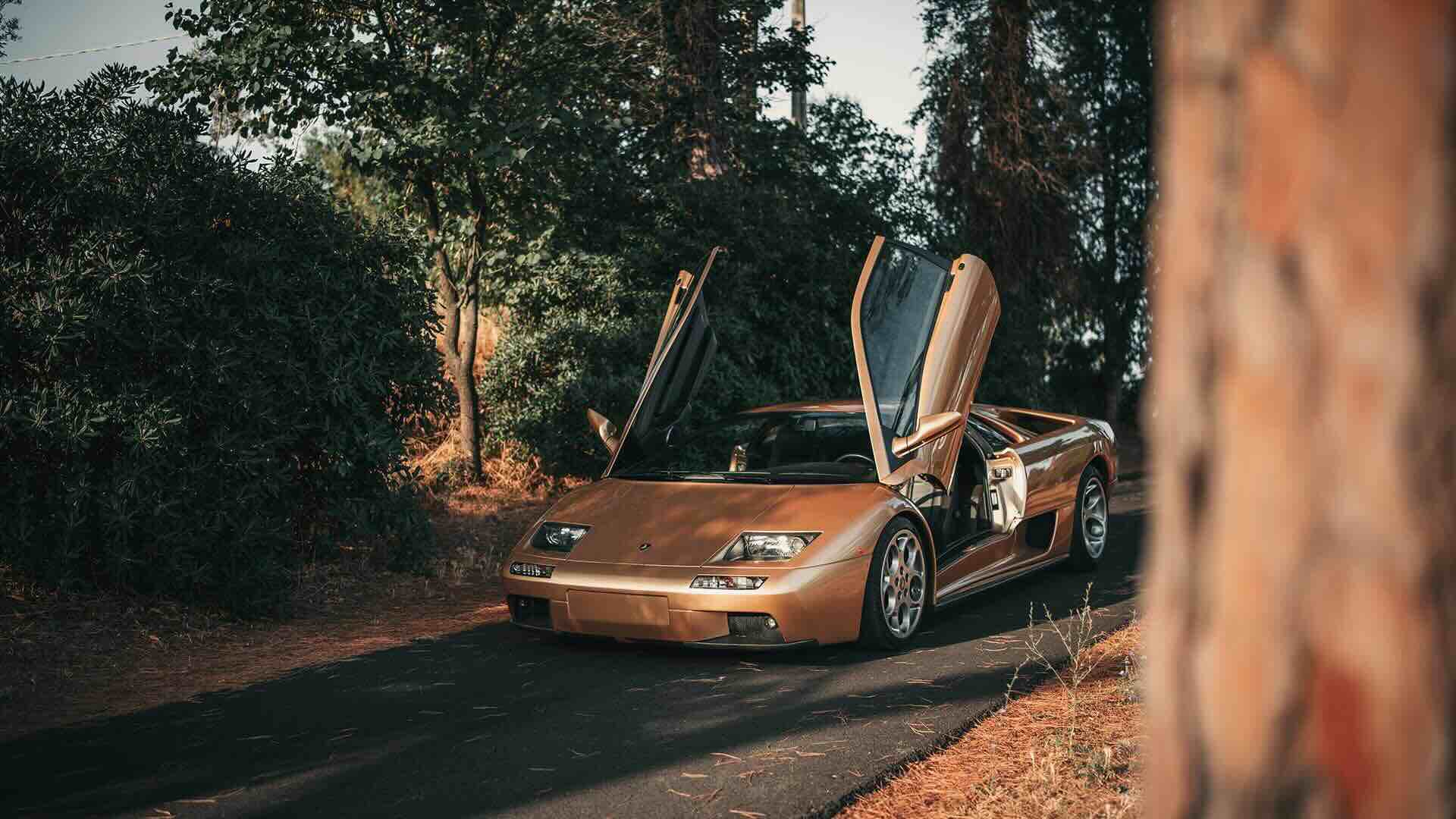 Lamborghini ala di gabbiamo colore bronzo - Life&People Magazine