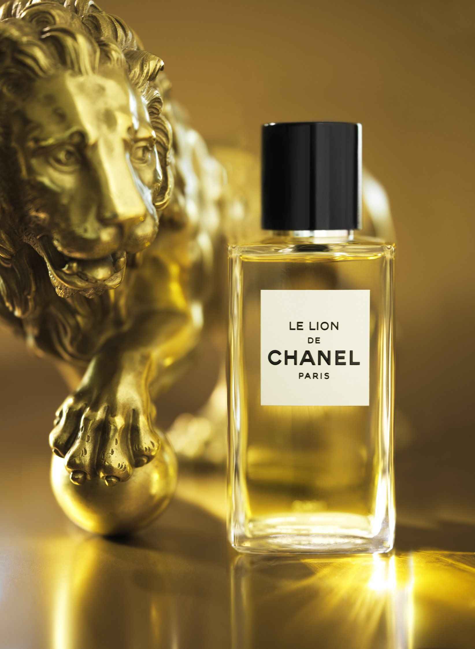 le Lion de chanel - Life&People Magazine