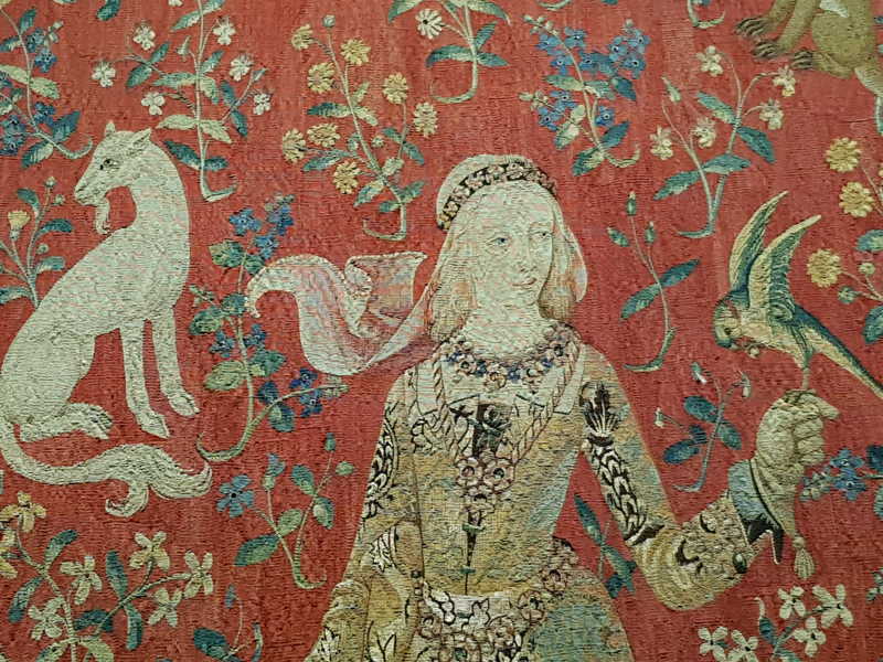 dama con unicorno arazzo - Life&People Magazine