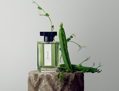 L’orto olfattivo: l’eleganza radicale dei profumi vegetali per la primavera