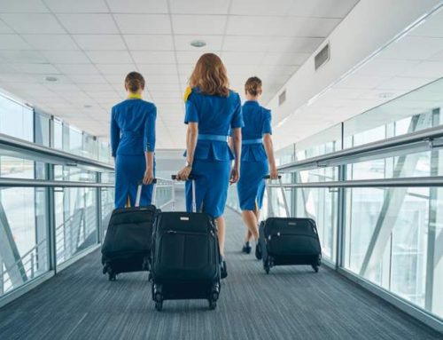 Assistenti di volo: segreti tra roster di mezzanotte e storie a diecimila metri