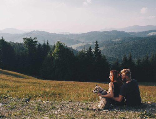 Coppie DINK: chi sono e perché l’italia ha smesso di sognare la famiglia tradizionale?