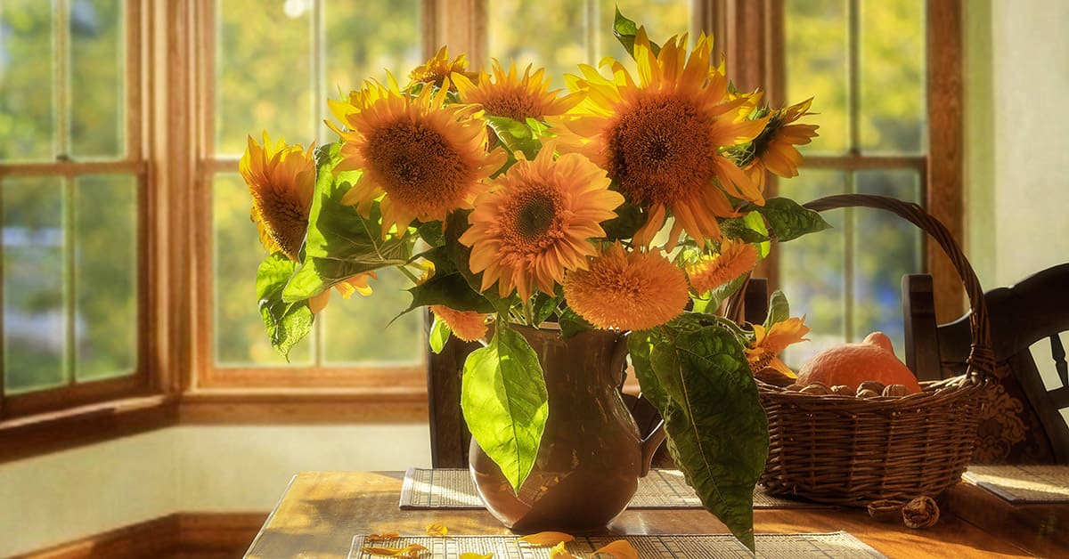 cos'è dopamine decor - Life&People Magazine