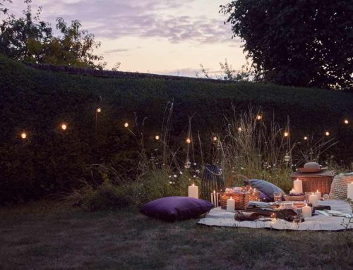 Picnic al crepuscolo: l’arte di cenare sull’erba quando il sole scompare