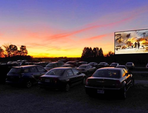 Cinema sotto le stelle: la magia en plein air e la rinascita della socialità analogica