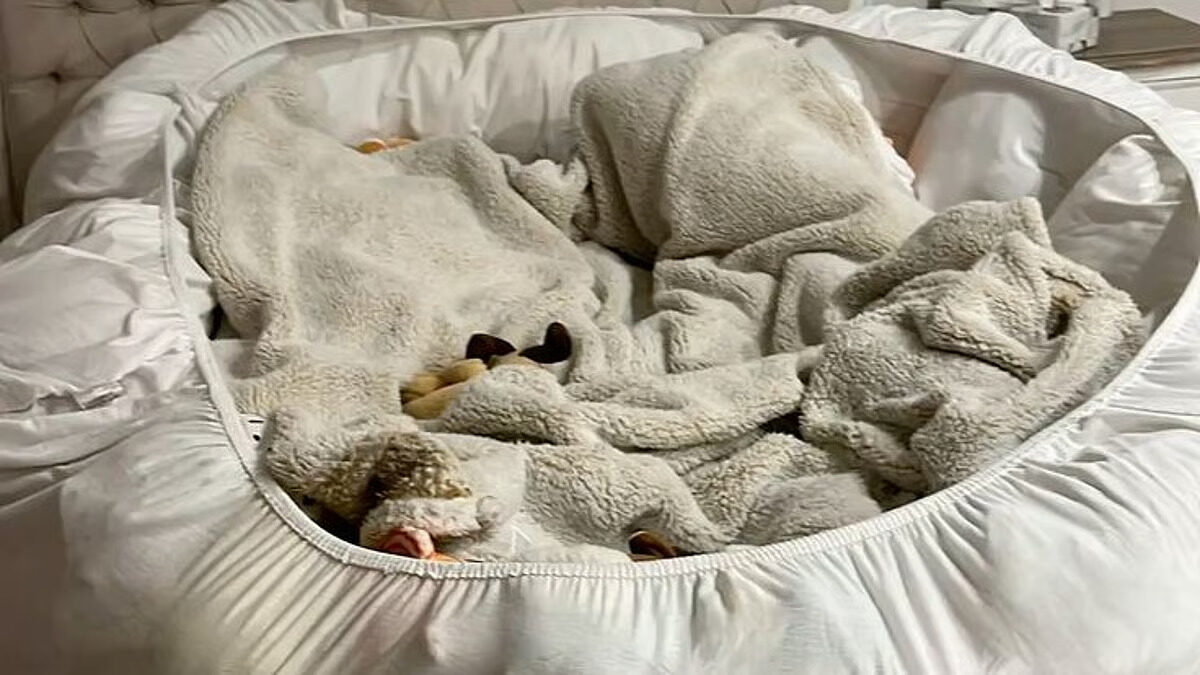 Rimendi contro insonnia potato bed - Life&People Magazine