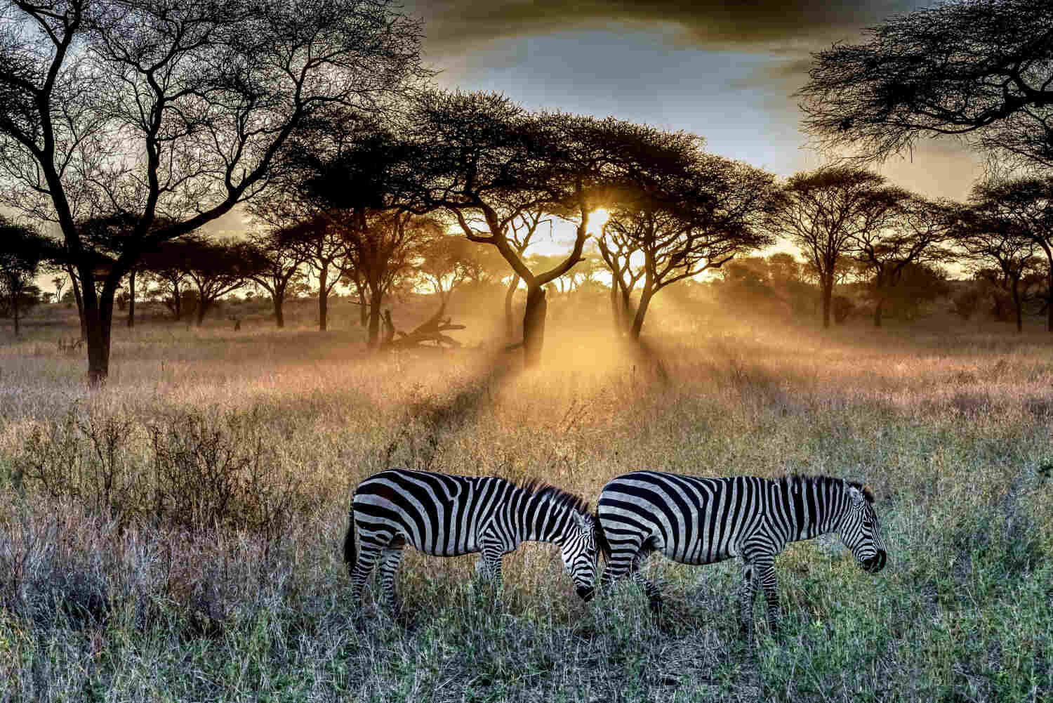 Tendenze viaggi estate Africa -Life&People Magazine