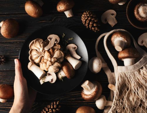 L’elisir segreto del bosco che sazia la fame senza appesantire la linea