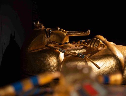 Il sigillo spezzato e il faraone ragazzino: il tesoro di Tutankhamon continua a sfidare la storia