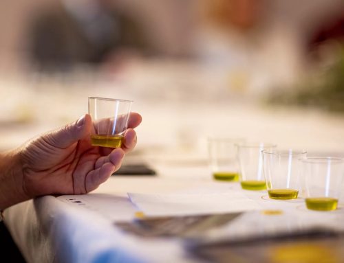 L’oro verde in viaggio: perché il futuro del turismo passa per i frantoi?